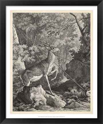 Framed Woodland Deer VII Print