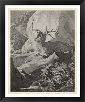 Framed Woodland Deer VIII Print