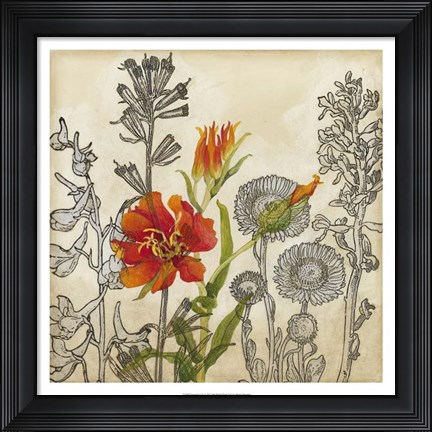 Framed Emerging Lily Print