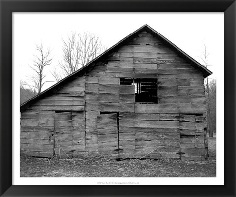 Framed Weather Worn III Print