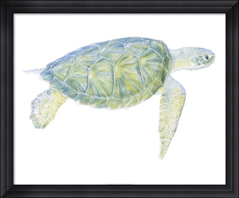 Framed Tranquil Sea Turtle I Print