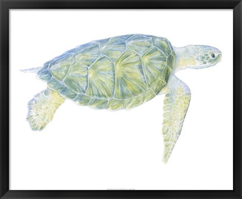 Framed Tranquil Sea Turtle I Print