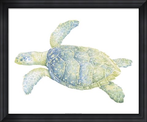 Framed Tranquil Sea Turtle II Print