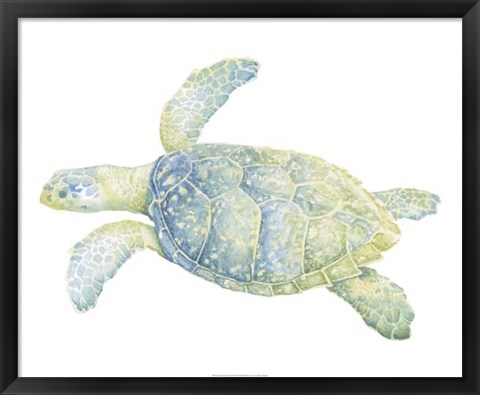 Framed Tranquil Sea Turtle II Print