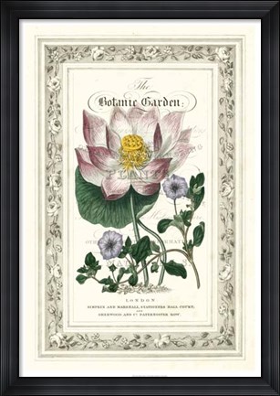 Framed Botanic Garden I Print