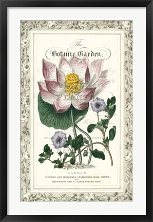 Framed Botanic Garden I Print