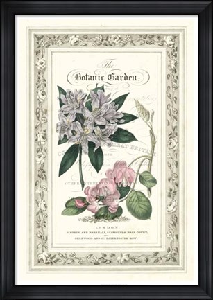 Framed Botanic Garden II Print