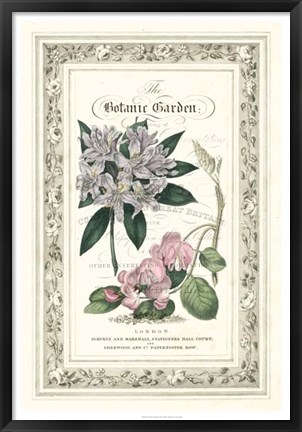 Framed Botanic Garden II Print