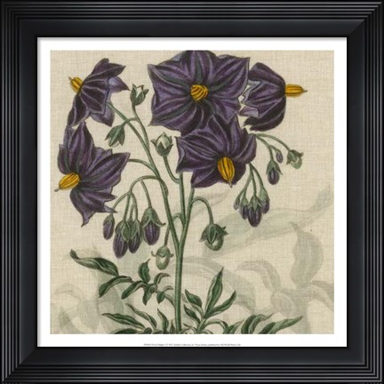 Framed Floral Delight I Print