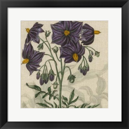 Framed Floral Delight I Print