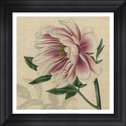 Framed Floral Delight II Print