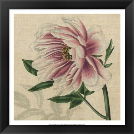 Framed Floral Delight II Print