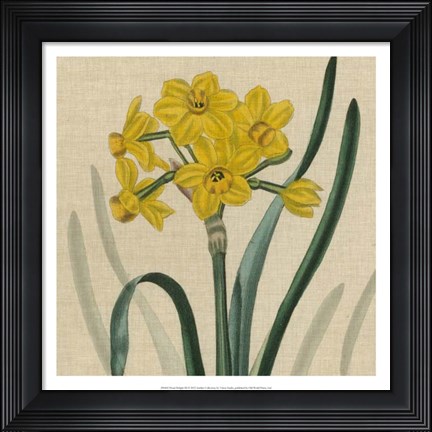Framed Floral Delight III Print