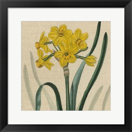 Framed Floral Delight III Print