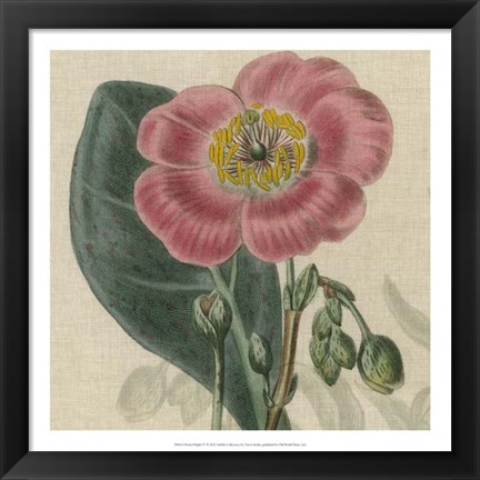 Framed Floral Delight IV Print