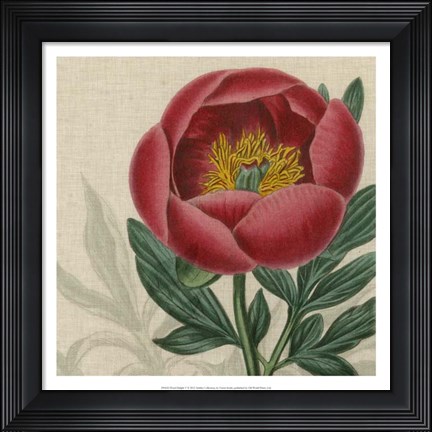 Framed Floral Delight V Print