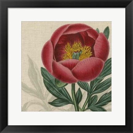 Framed Floral Delight V Print