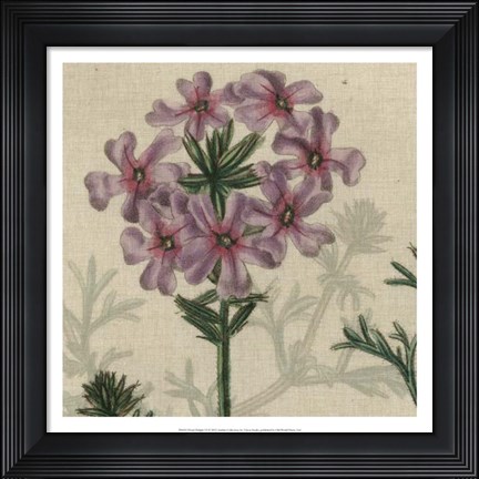 Framed Floral Delight VI Print