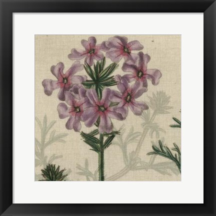 Framed Floral Delight VI Print