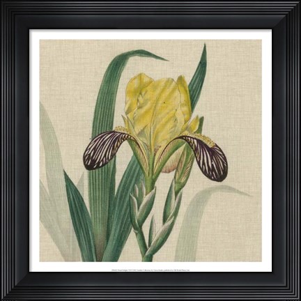 Framed Floral Delight VII Print