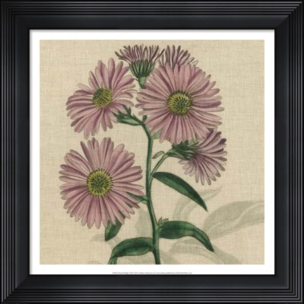 Framed Floral Delight VIII Print