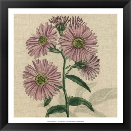 Framed Floral Delight VIII Print