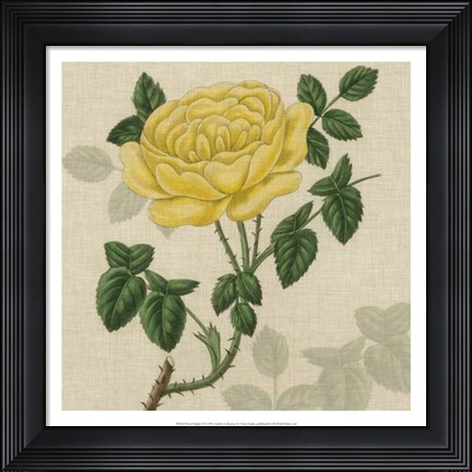 Framed Floral Delight IX Print