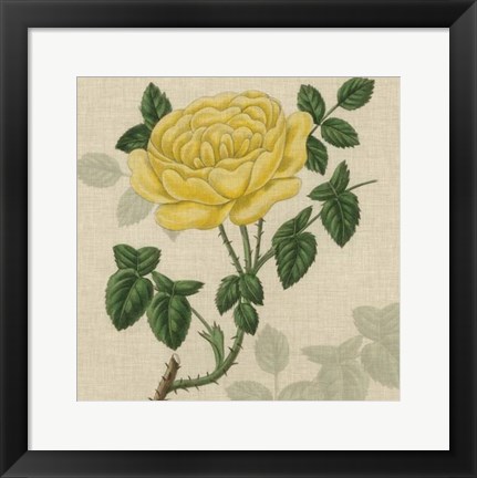 Framed Floral Delight IX Print