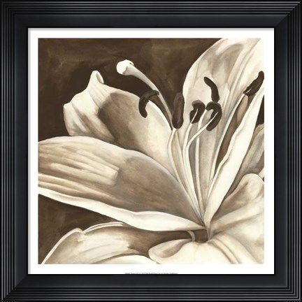 Framed Sepia Lily I Print