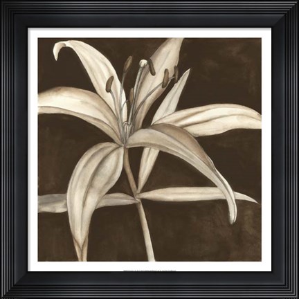 Framed Sepia Lily II Print