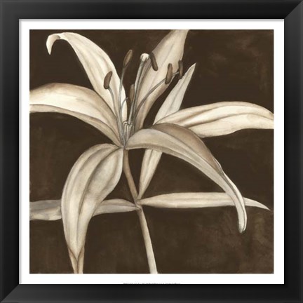 Framed Sepia Lily II Print