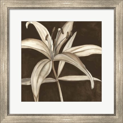 Framed Sepia Lily II Print