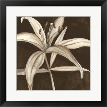 Framed Sepia Lily II Print