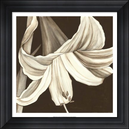 Framed Sepia Lily III Print