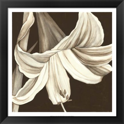 Framed Sepia Lily III Print