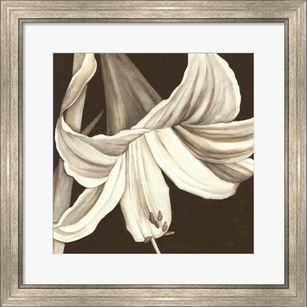 Framed Sepia Lily III Print