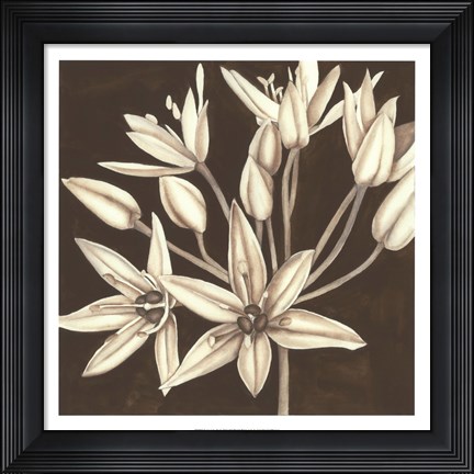 Framed Sepia Lily IV Print