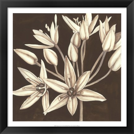 Framed Sepia Lily IV Print