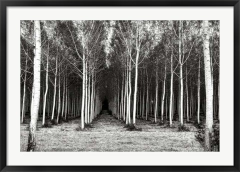 Framed Alley At Lac D&#39;uby Print