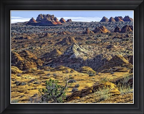 Framed View from Coyote Buttes Print