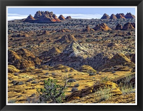 Framed View from Coyote Buttes Print