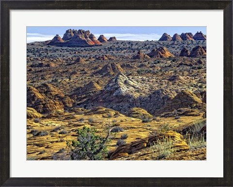 Framed View from Coyote Buttes Print