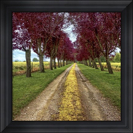 Framed Approach Print