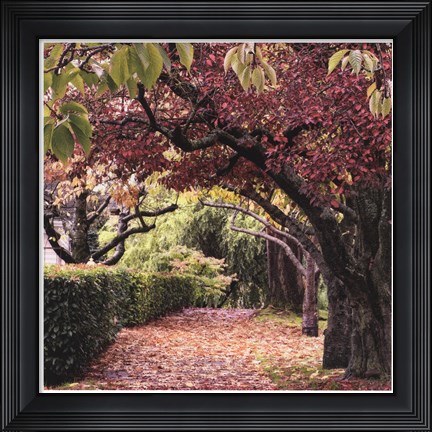 Framed Arch of Trees Print