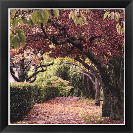 Framed Arch of Trees Print