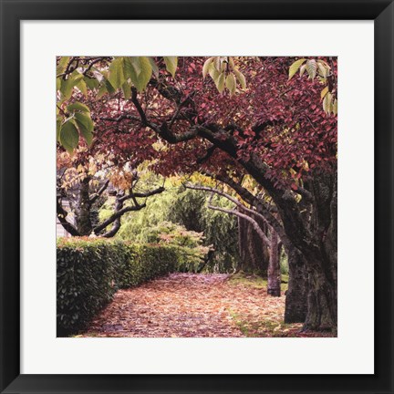 Framed Arch of Trees Print