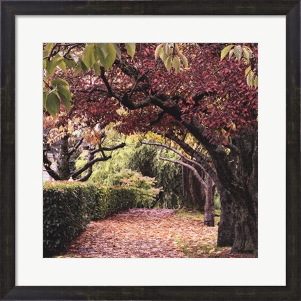 Framed Arch of Trees Print