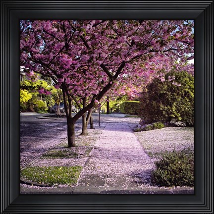 Framed Fallen Petals Print