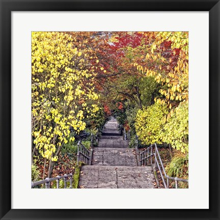 Framed Autumn Tunnel Print