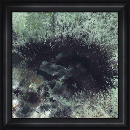 Framed Coral &amp; Jelly Fish I Print